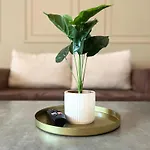 Boho Apartamento